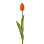 Tulipán francia szál  67 cm - Narancssárga