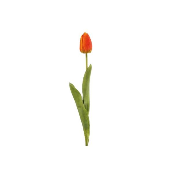 Tulipán francia szál  67 cm - Narancssárga