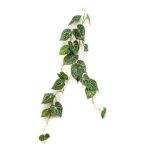 Anthurium garland (fotó nyomott levél) 110cm