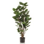 Polyscias tree 105cm (műanyag cserépben)