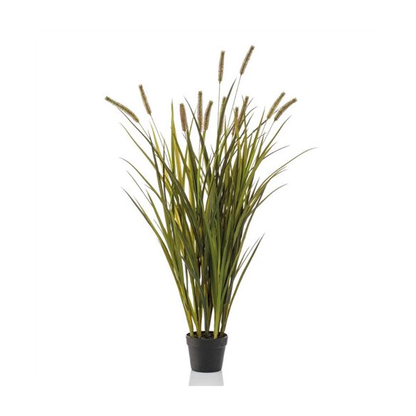 Grass cattails x12 120cm (műanyag cserépben)