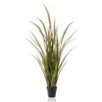 Grass foxtail x5 115cm