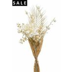 Dry peony bundle 58cm - Krém