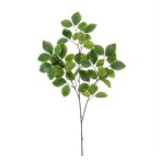 Bükk fa ág leveles 95cm - Zöld
