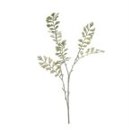 Daisy ág x3 83cm - Halvány zöld