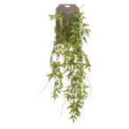 Fern hanging bush Páfrány csüngő 80cm - Zöld