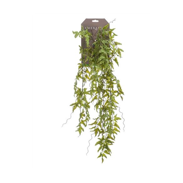 Fern hanging bush Páfrány csüngő 80cm - Zöld