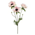 Anemone spray x3 75cm - Rózsaszín/krém