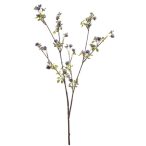 Phlox spray x2 66cm - Kék