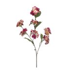 Hydrangea spray x3 81cm - Beauty