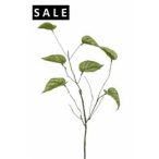 Cissus curly branch 66cm - Világos zöld