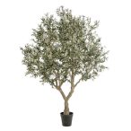 Olive tree fa 250cm (műanyag cserépben)