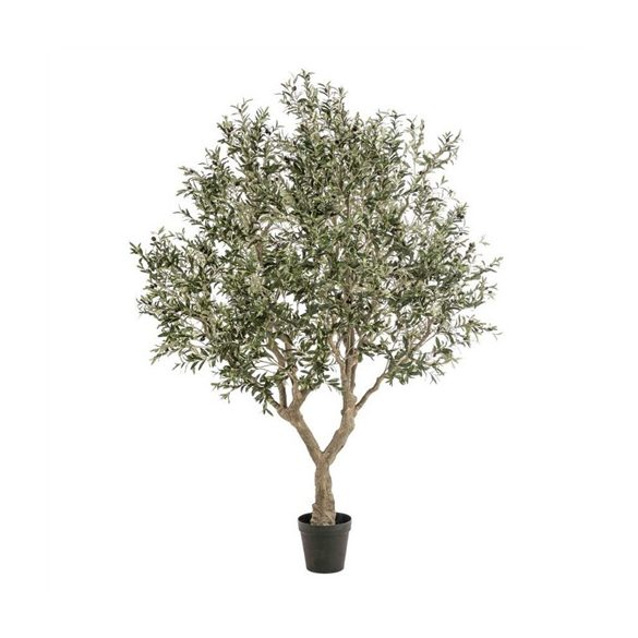Olive tree fa 250cm (műanyag cserépben)