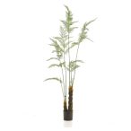 Fern wild on trunk 210cm (műanyag cserépben)