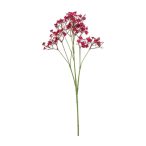 Gypsophilia spray 68cm - Fuchsia