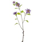 Clematis branch 75cm - Lila