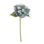 Hydrangea spray 50cm - Kék