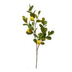 Citromfa ág 95 cm citrommal