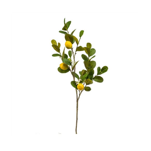 Citromfa ág 95 cm citrommal
