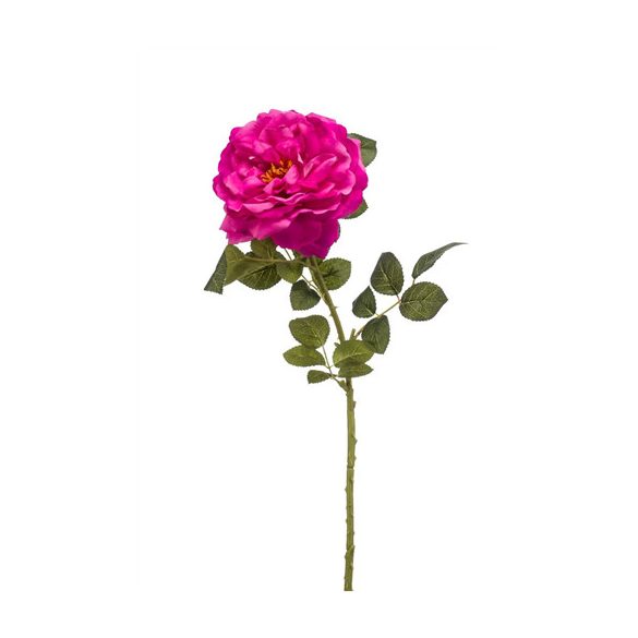 Rose amanda 75cm - Pink