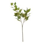 Birch spray x2 70cm - Zöld