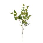 Birch lvs spray x3 95cm - Zöld