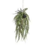 Fern bush hanging on ball 70cm