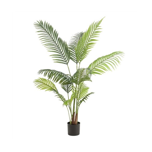 Paradise palm 140cm/ 12levél (műanyag cserépben)