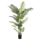 Paradise palm 200cm/ 23levél (műanyag cserépben)