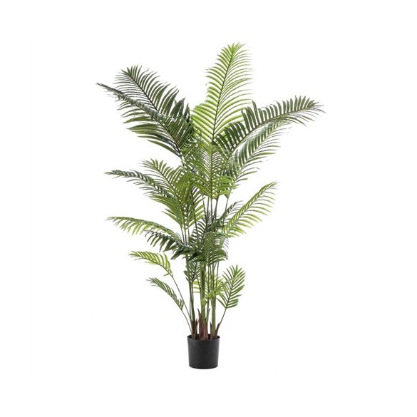Paradise palm 200cm/ 23levél (műanyag cserépben)