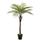 Phoenix palm delux Főnix pálma 260cm (műanyag cserépben)
