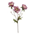 Anemone ág x3 75 cm - Lila