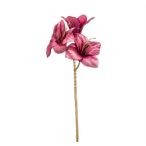 Amaryllis spray 55 cm - Pink