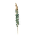 Eremurus spray 107cm - Türkiz