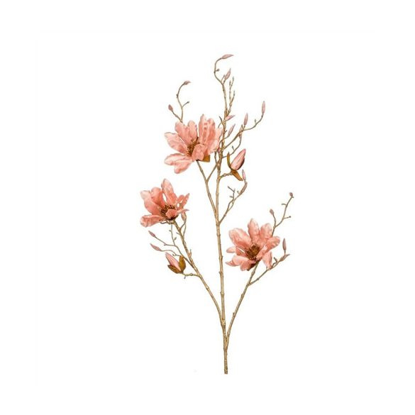 Magnolia ág 110cm - Barna