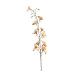 Delphinium spray 87cm - Bézs