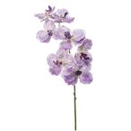 Vanda orchidea spray 77cm - Világos lila