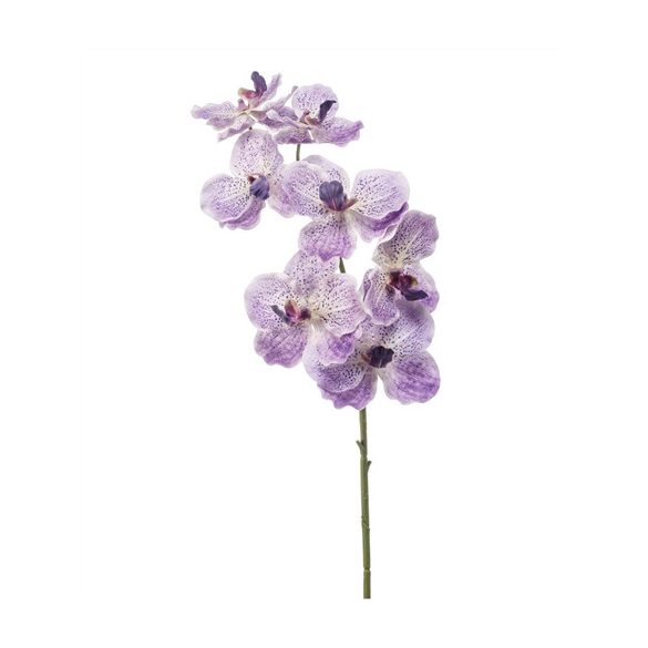 Vanda orchidea spray 77cm - Világos lila