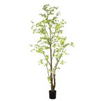 Tropaeolum tree 270cm - Zöld (műanyag cserépben)