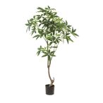   Pachira mini trunk (Vadkakaó fa) 150cm (műanyag cserépben)