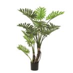 Philodendron selloum 135cm / 13levél (műanyag cserépben)