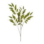Pisztácia ág x5 110cm - Zöld
