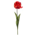 Tulipán paris 66cm - Narancs