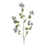 Aquilegia spray x5 120cm - Világoskék