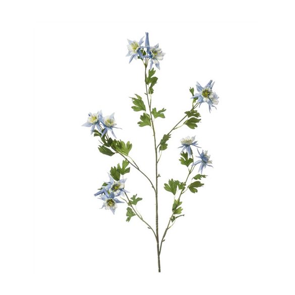 Aquilegia spray x5 120cm - Világoskék