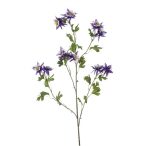 Aquilegia spray x5 120cm - Lila