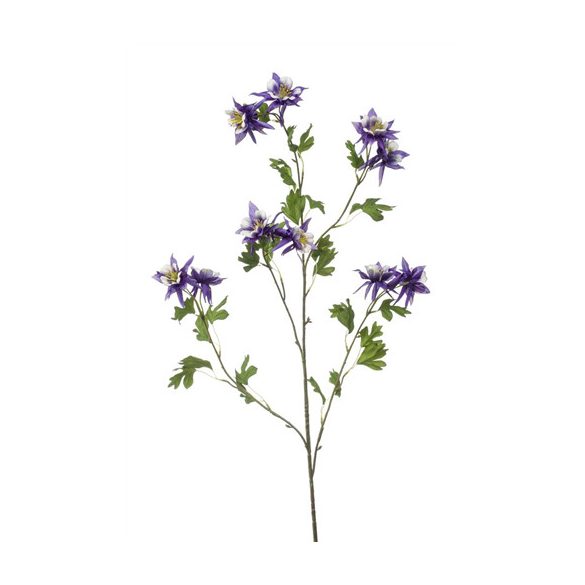Aquilegia spray x5 120cm - Lila