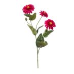 Zinnia ág x3 70cm - Fuchsia