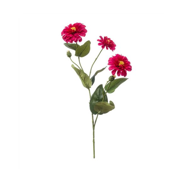 Zinnia ág x3 70cm - Fuchsia