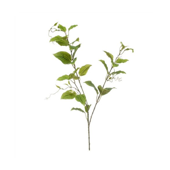 Clematis ág 105cm - Zöld